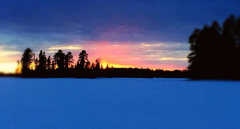 The sky appears in shades of blue, pink, orange and yellow as the sun rises or sets behind a row of trees. The snow in the foreground appears blue. 